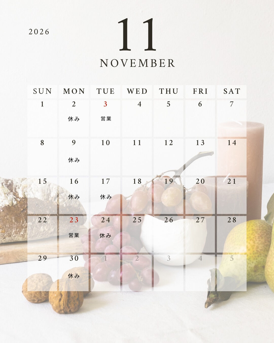 １１月の予定です